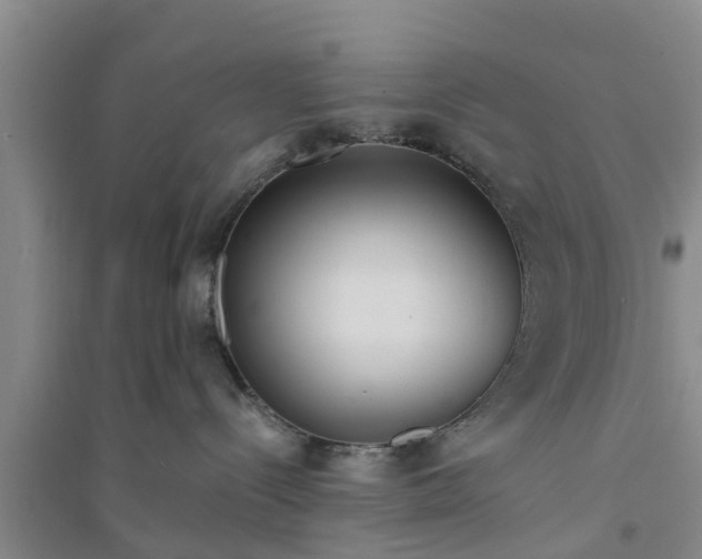 X0000094320288200711091348