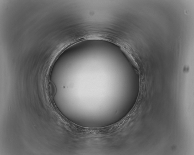 X0000094320289200711091348