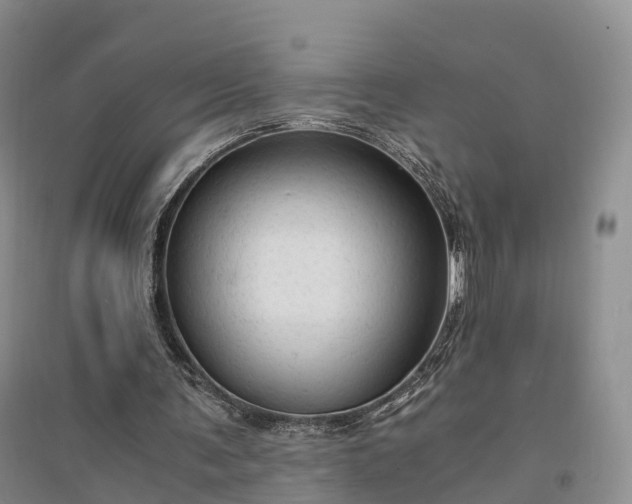 X0000094320291200711091348