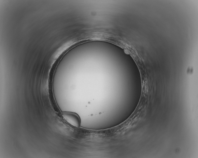 X0000094320292200711091348