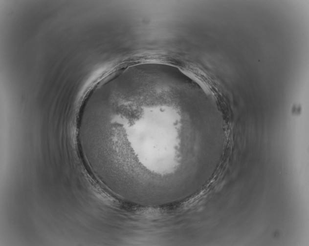 X0000094320293200711091348