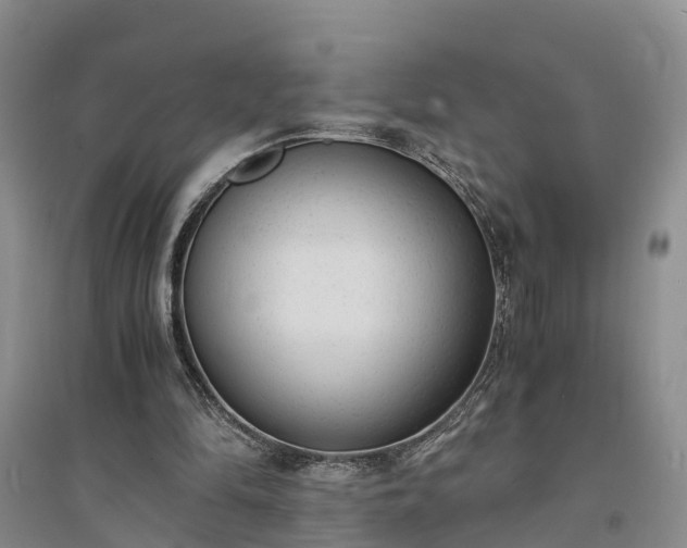 X0000094320294200711091348