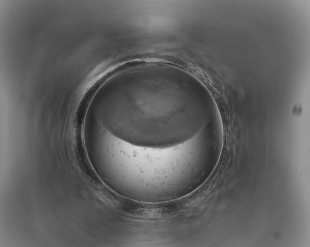 X0000094320295200711091348