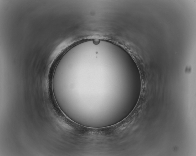 X0000094320296200711091348