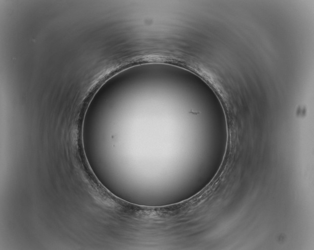 X0000094320297200711091348