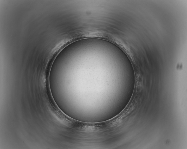 X0000094320298200711091348