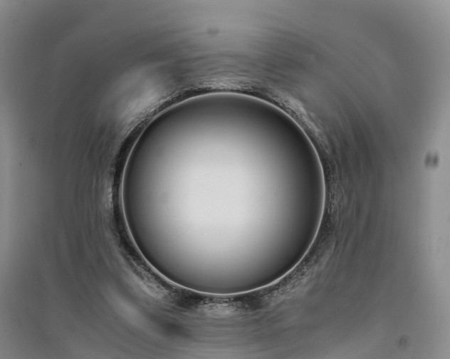 X0000094320299200711091348