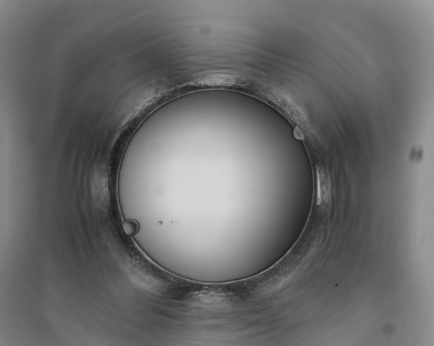 X0000094320300200711091348