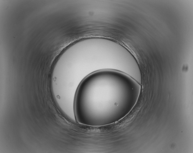 X0000094320301200711091348