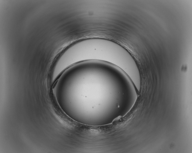 X0000094320302200711091348