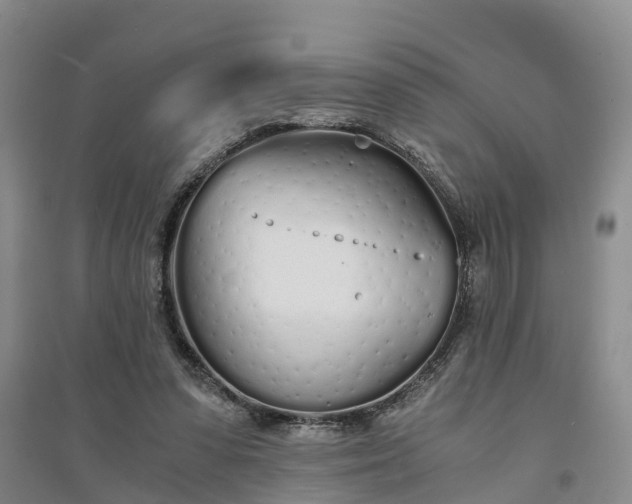 X0000094320303200711091348