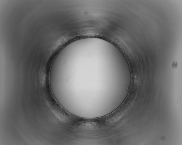 X0000094320304200711091347