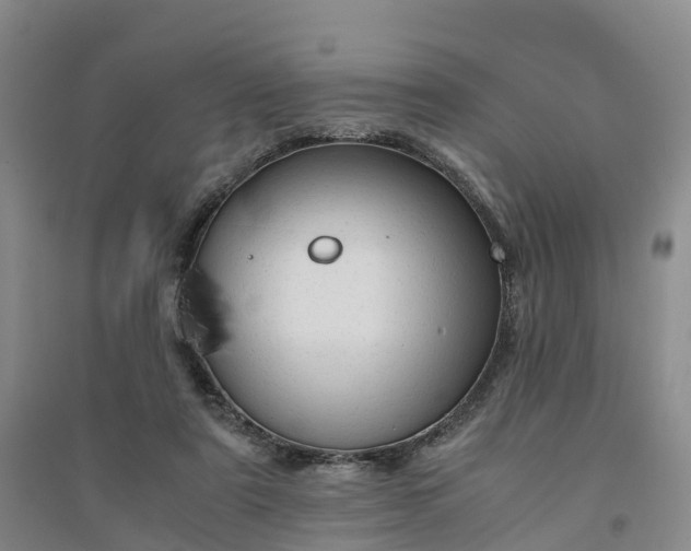 X0000094320307200711091347