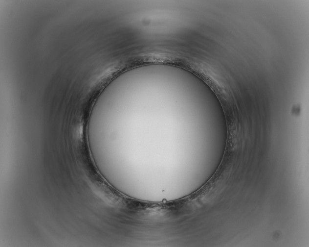 X0000094320310200711091347