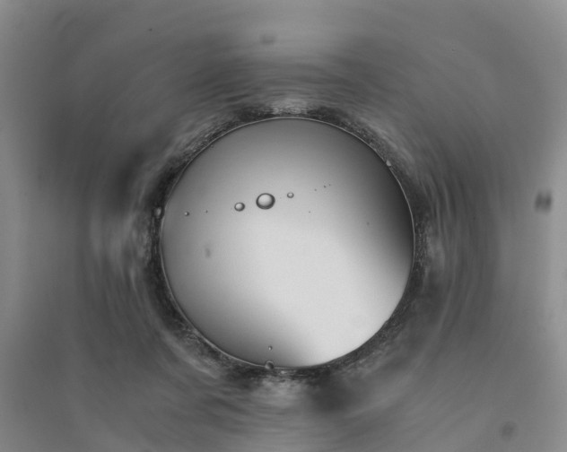 X0000094320311200711091347