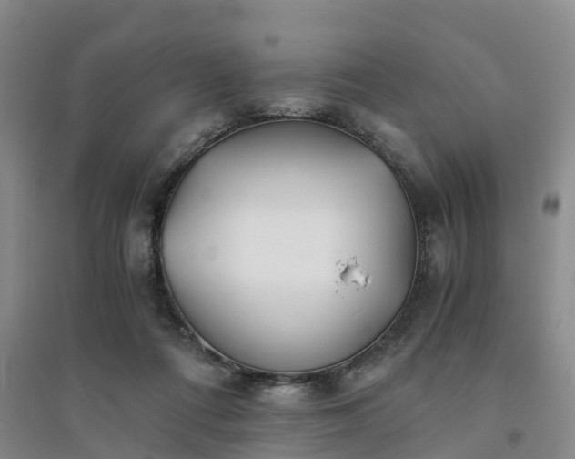 X0000094320312200711091347