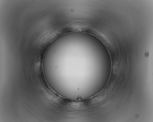 X0000094320314200711091347