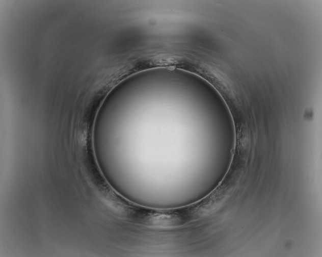 X0000094320315200711091347