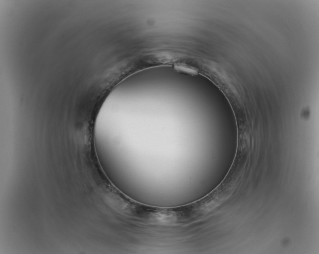 X0000094320317200711091347