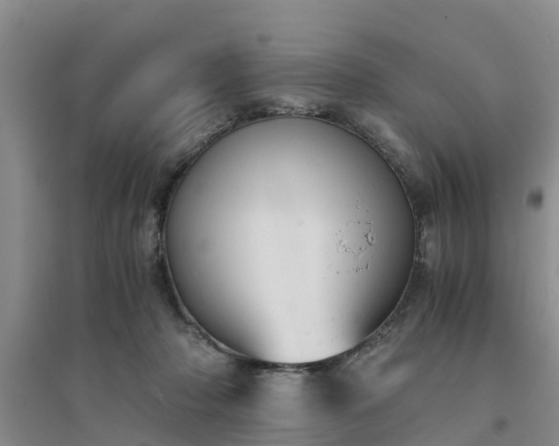 X0000094320318200711091347