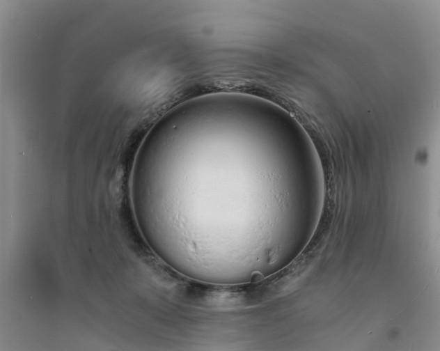 X0000094320319200711091347