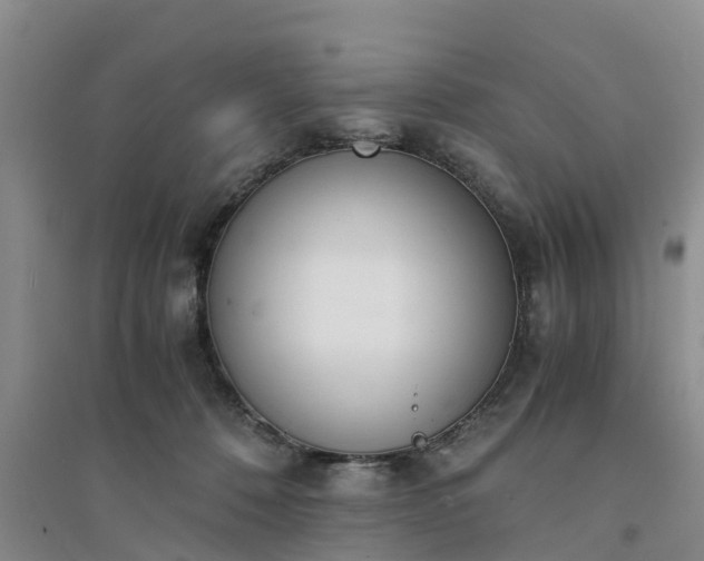 X0000094320320200711091347