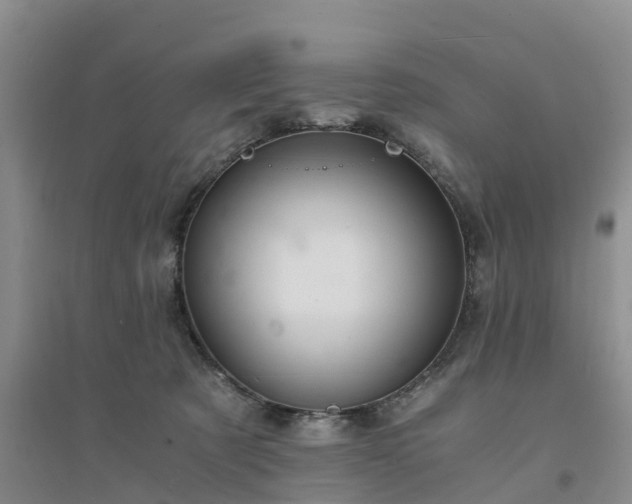 X0000094320321200711091347