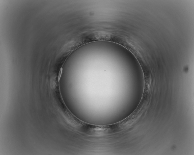 X0000094320323200711091347