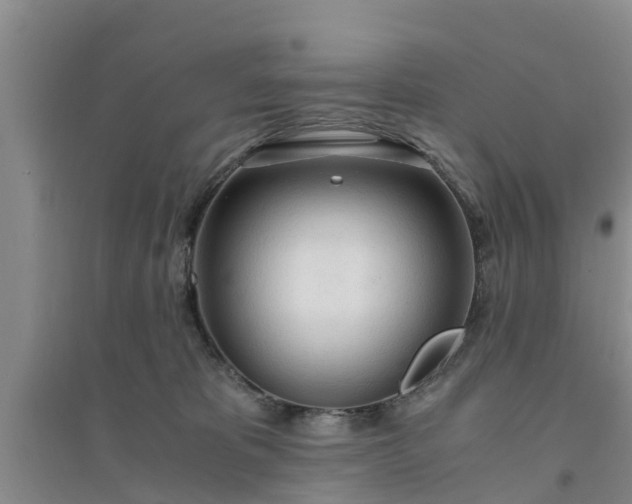 X0000094320325200711091347