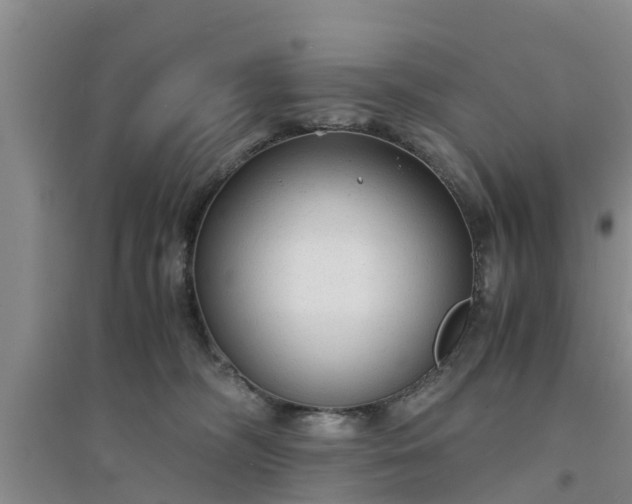 X0000094320326200711091347