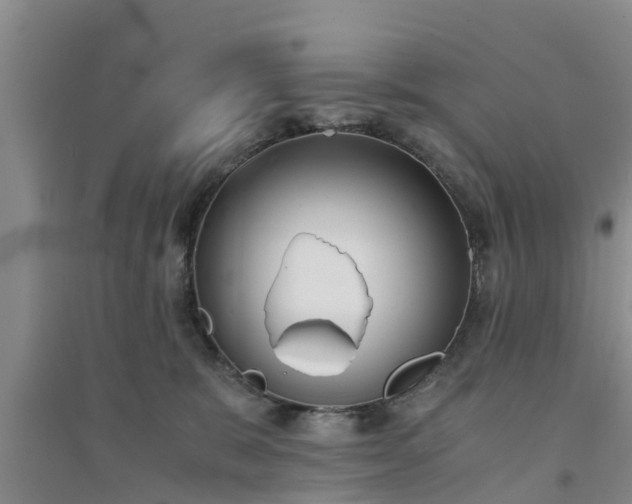 X0000094320327200711091347
