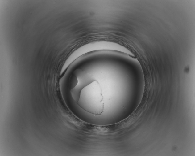 X0000094320328200711091347