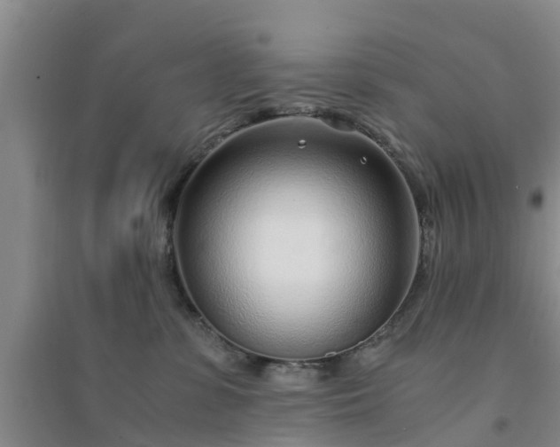 X0000094320331200711091347