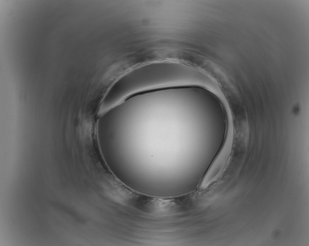 X0000094320333200711091347