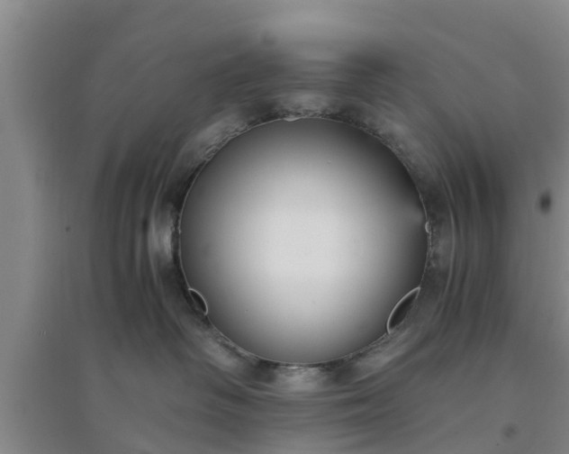 X0000094320334200711091347