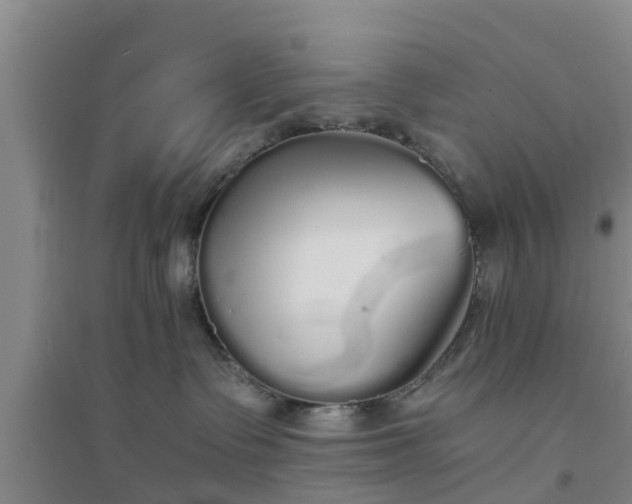 X0000094320335200711091347