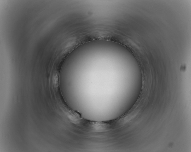 X0000094320336200711091347
