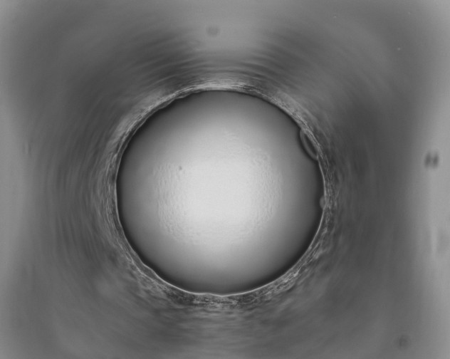 X0000094320337200711091346