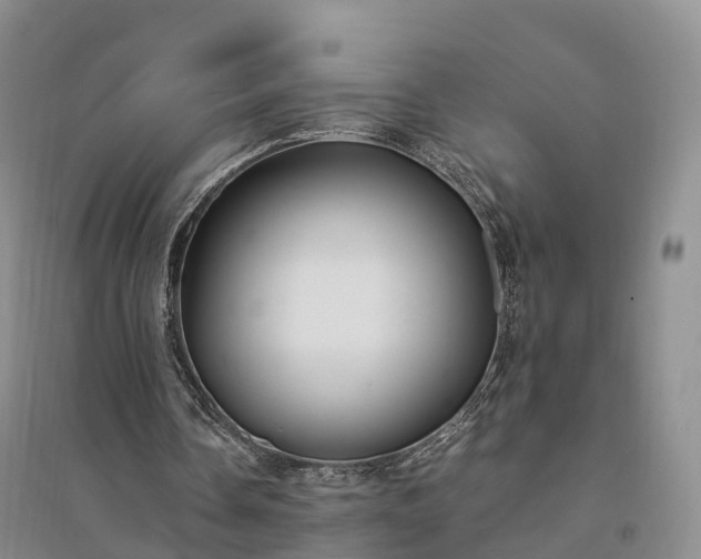 X0000094320338200711091346
