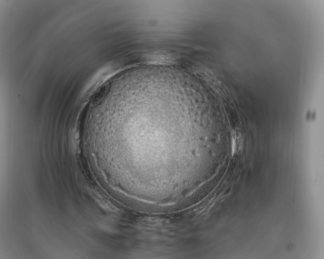 X0000094320339200711091346