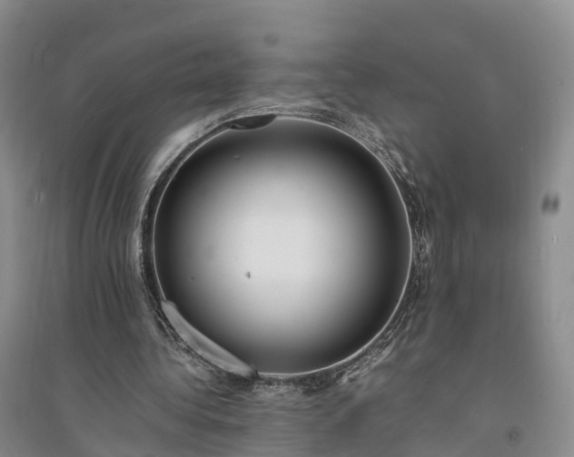 X0000094320340200711091346