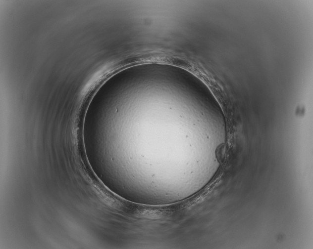 X0000094320341200711091346