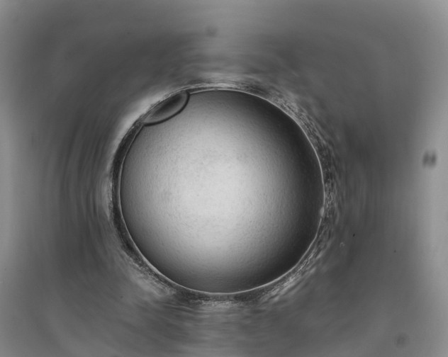 X0000094320342200711091346