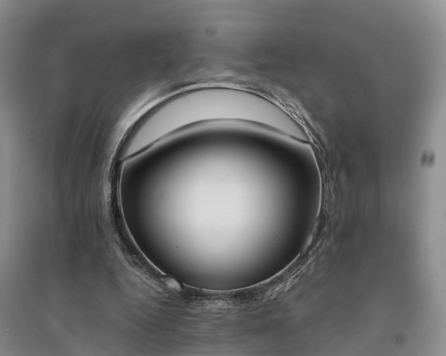 X0000094320344200711091346