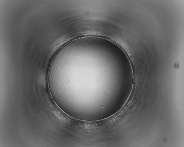 X0000094320345200711091346