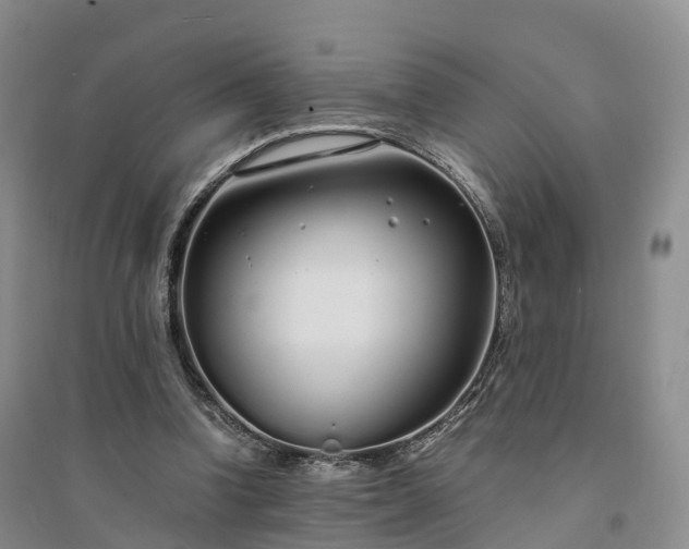 X0000094320346200711091346