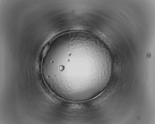 X0000094320347200711091346