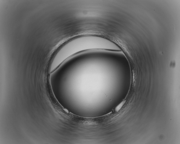 X0000094320348200711091346