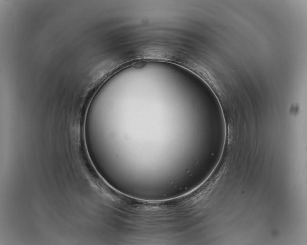 X0000094320349200711091346
