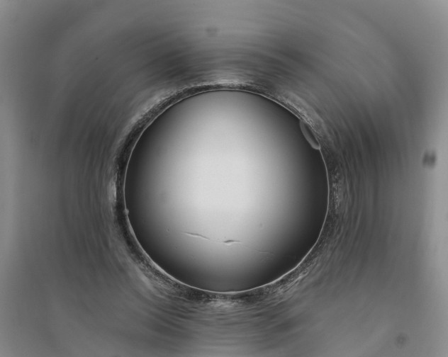 X0000094320350200711091346